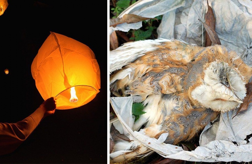 Conservatives helped protect animals and people from sky lanterns danger